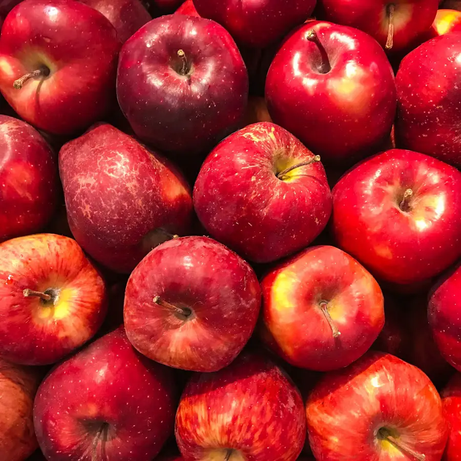 Apples