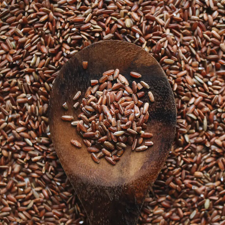 Red rice