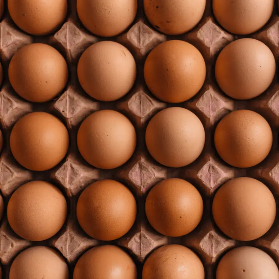 Eggs